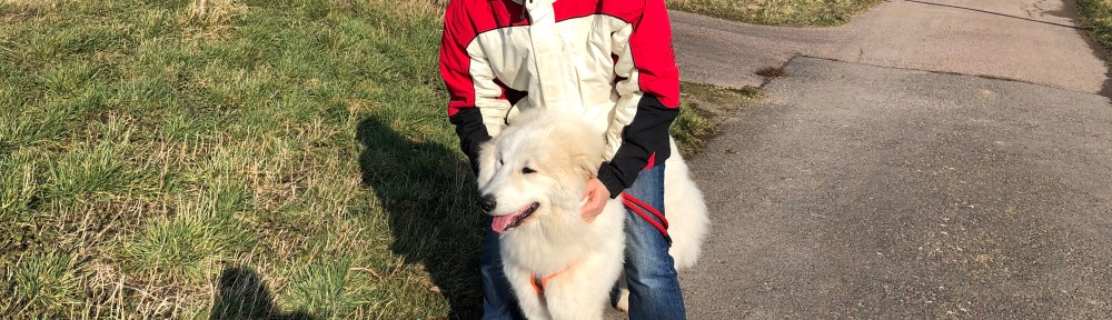 "Tunneln" – mache ich jetzt immer, wenn mein Pyriköpfchen was anderes will als meine Menschen