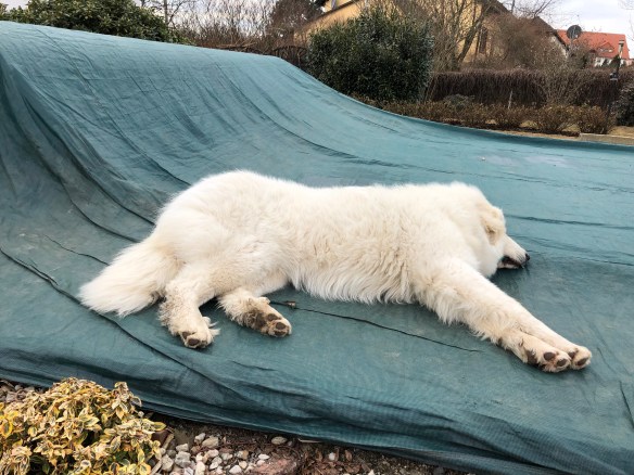 Das ist moderner Pyriprinzessinnenschönheitsschlaf