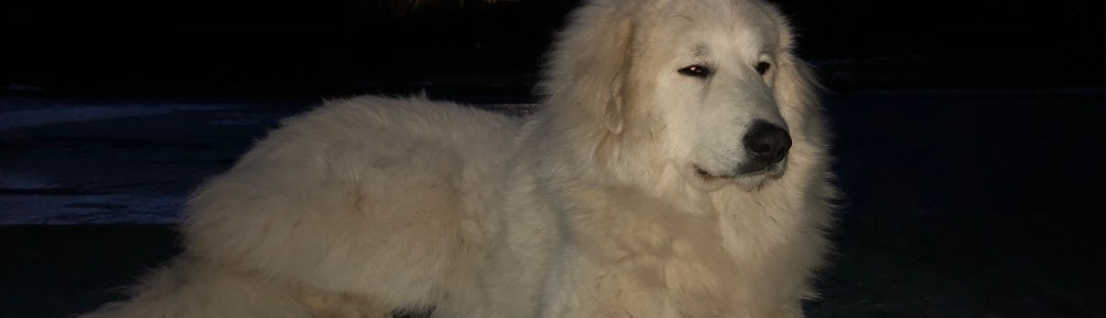 Ich bin eine Prinzessin