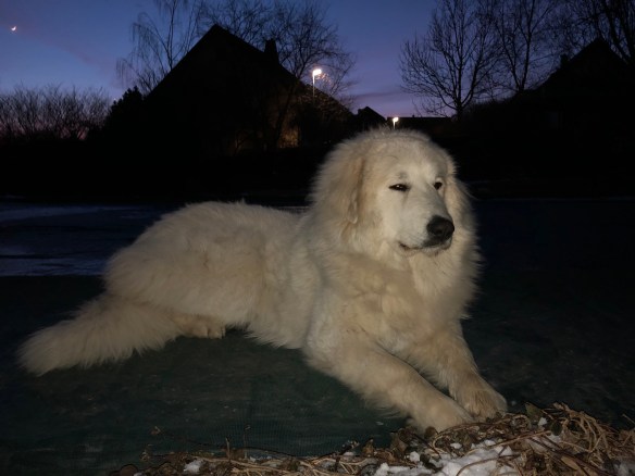 Ich bin eine Prinzessin