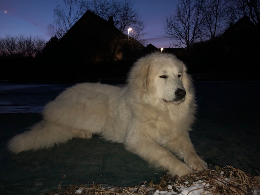 Ich bin eine Prinzessin