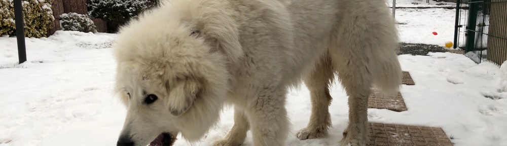 Hartes Wasser knabbern