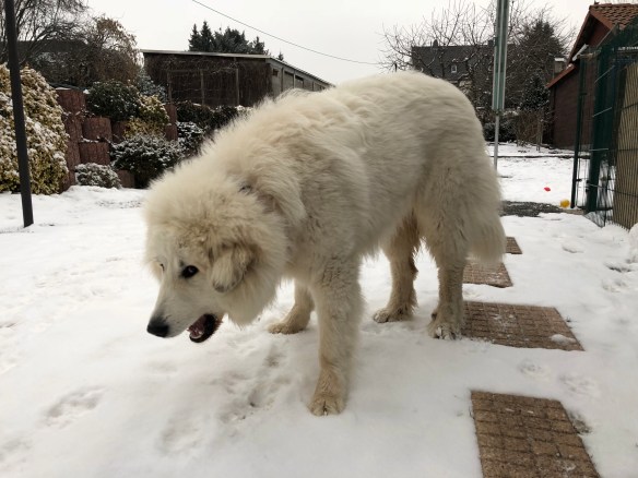 Hartes Wasser knabbern