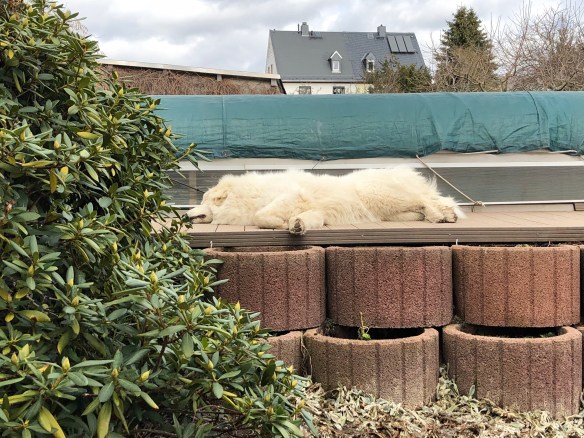 So geht Pyriprinzessinnenschönheitsschlaf