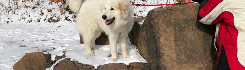 Achtung! Bella klettert