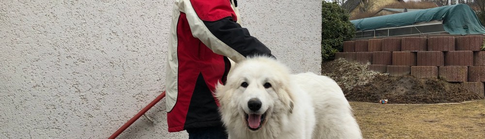 Aber ich bin noch klein