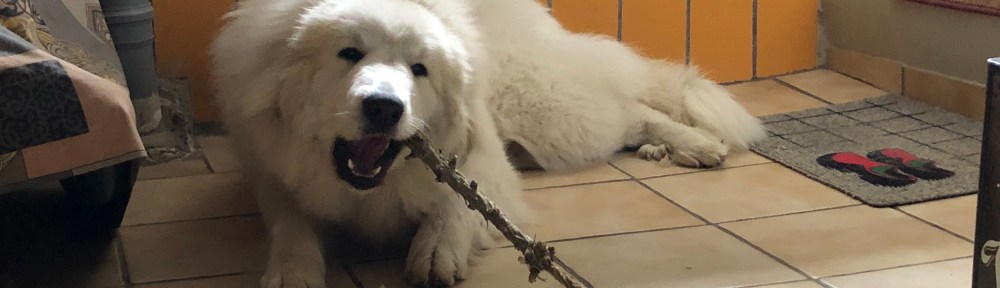 Mein Weihnachtsbaumkaustöckchen