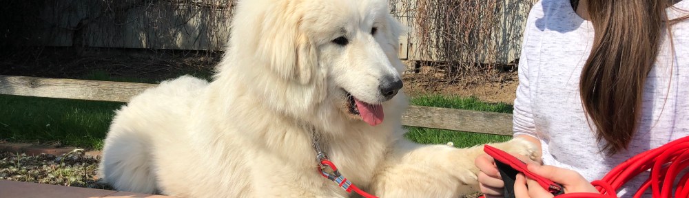 Meine neue Feldleine