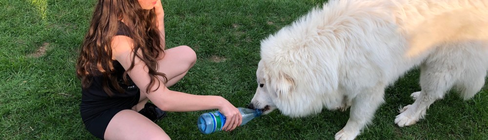 Und was zu trinken aus der Flasche