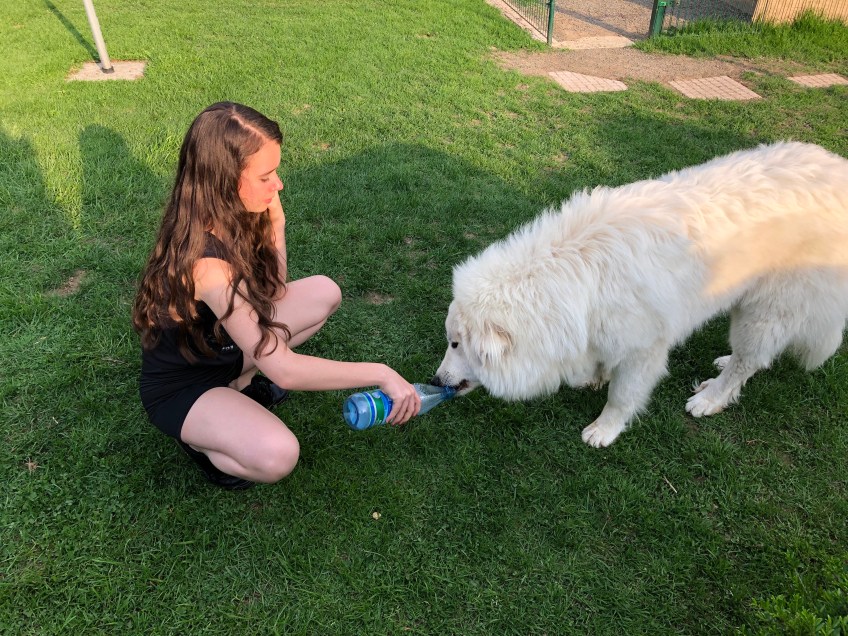 Und was zu trinken aus der Flasche
