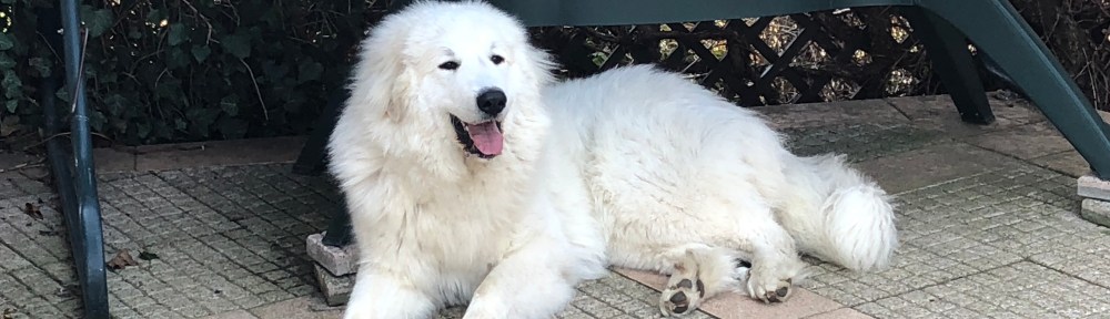 Prinzessin auf der Terrasse