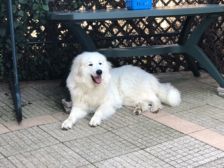 Prinzessin auf der Terrasse