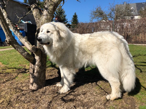 Ich bin schon groß – obwohl ich noch klein bin