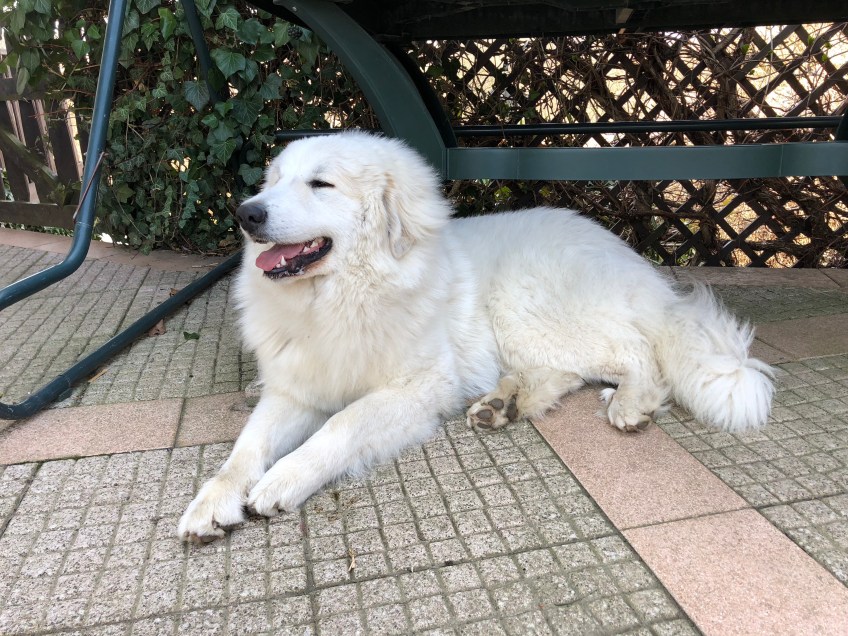 Auf meiner Terrasse