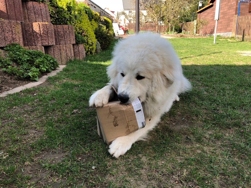 Mein Bella-Karton!