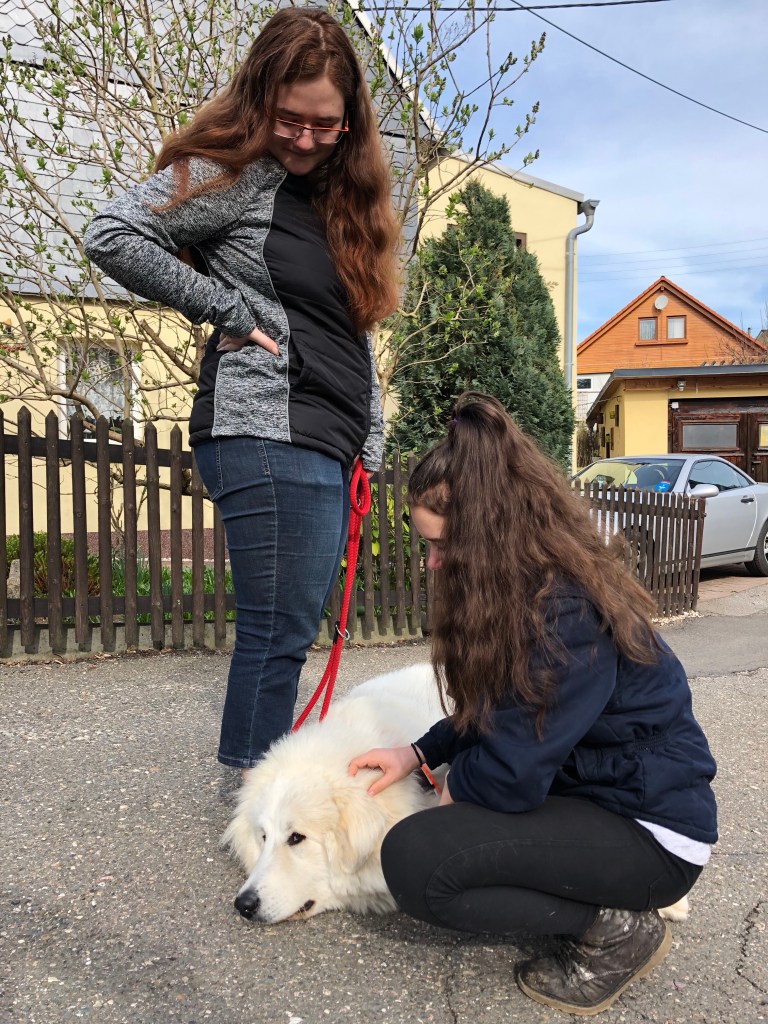 Spazierenliegen