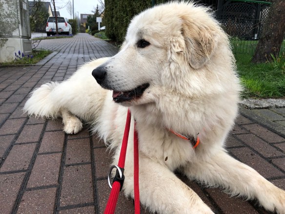 Ich bin auch bei Regen schön