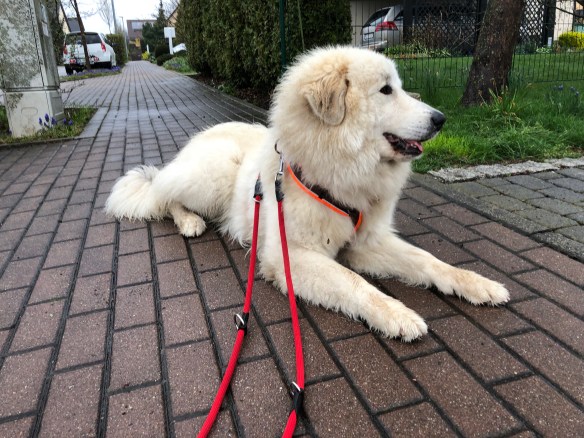 Pyrispaziergangsausruhpause