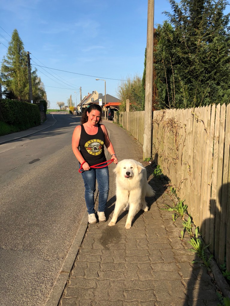 Abendspaziergang mit meiner großen Menschin