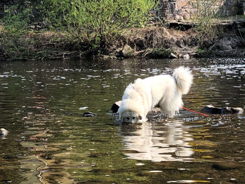 Bella ist eine Tiefseetaucherin