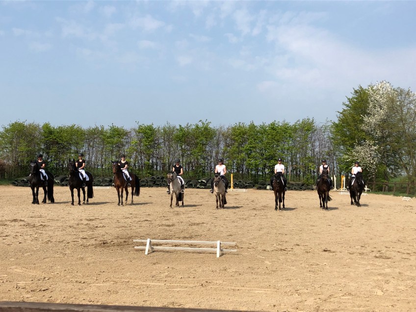 Quadrille auf dem Reiterhof