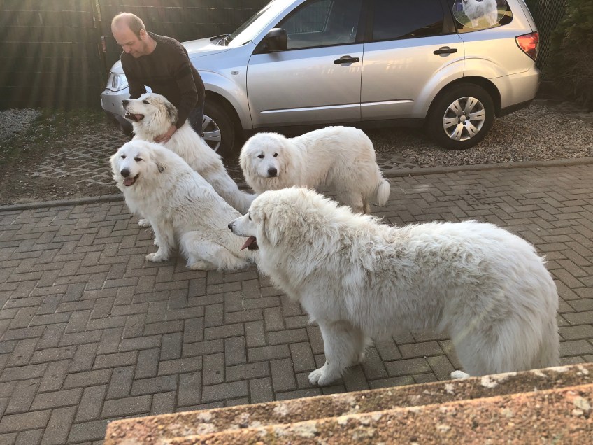 Fin, Ivy, Sissi und Bella