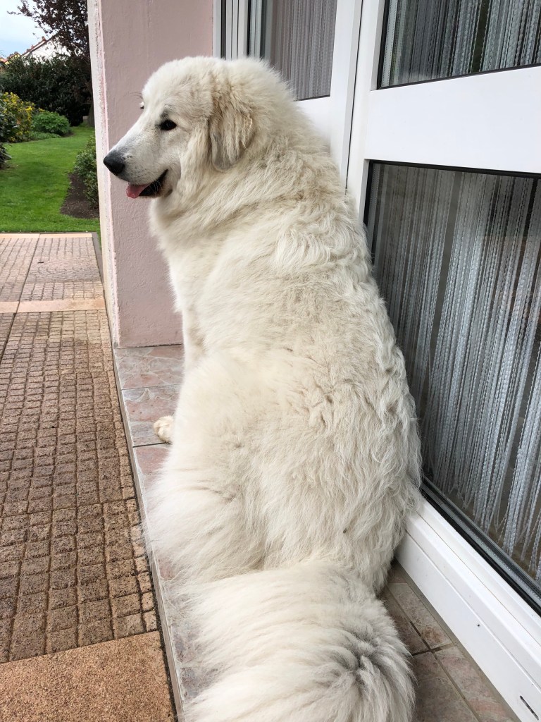 Mein Regenschutzplatz auf meiner Terrasse