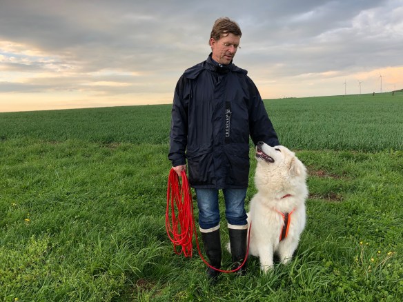 Mit meinem großen Menschen und meiner roten Feldleine auf meiner großen Feldwiese