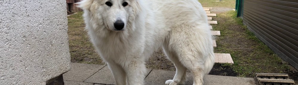 Ich bin die süße Bella