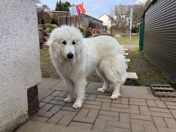 Ich bin die süße Bella