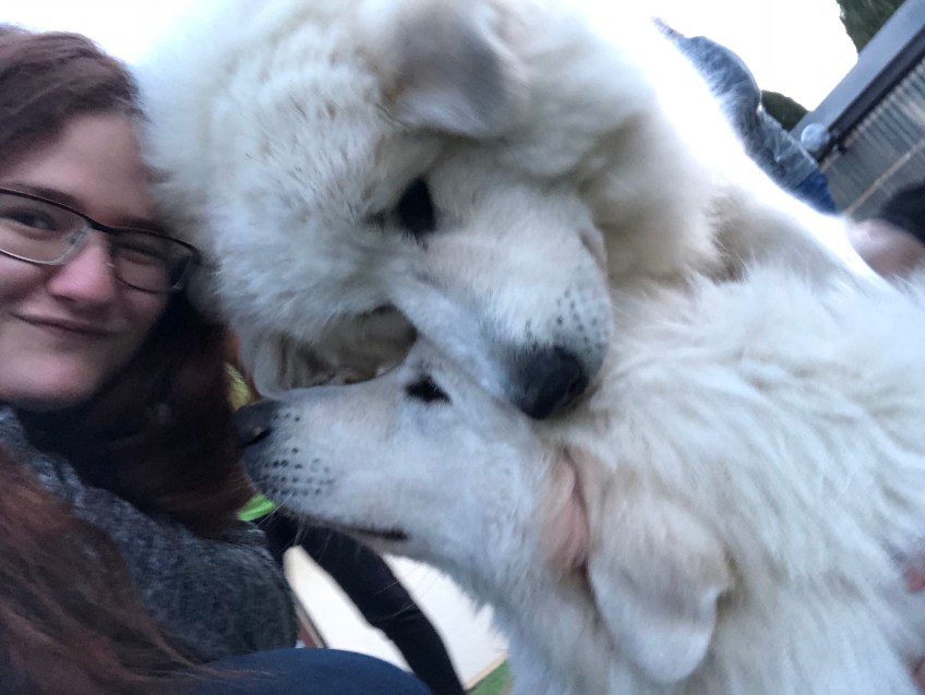 Schmusen