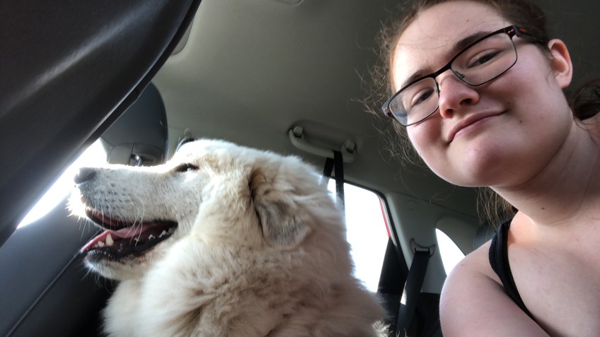 Wir fahren zur Hundeschule