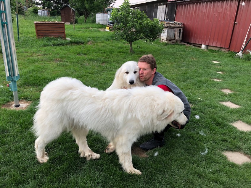 Mami Ivi kuschelt mit meinem großen Menschen