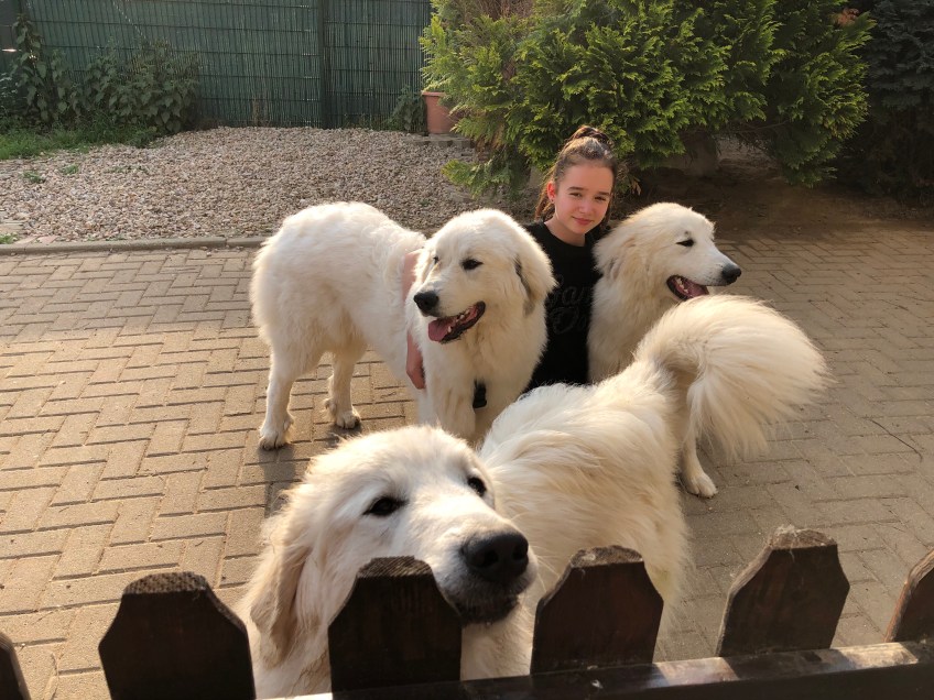 Kleine Menschenschwester mit Pyris