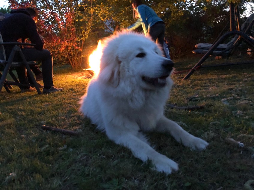 An der Feuerschale