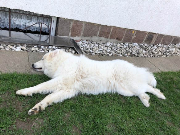 Niemand ruht so schön wie ich! Niemand!