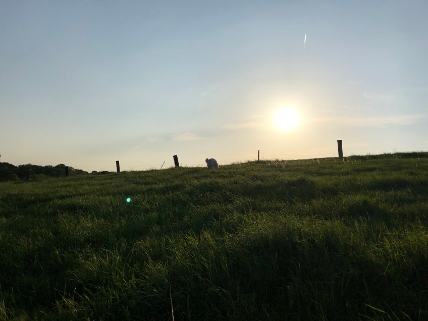 Sonnenuntergang
