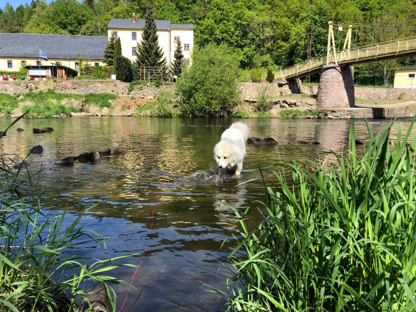 Im Wasser an der Wackelbrücke