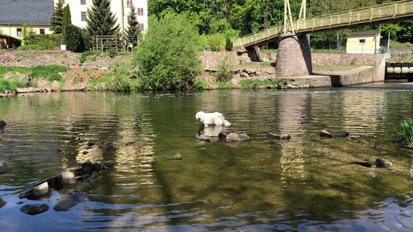 Bella ganz tief im Wasser