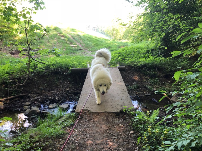 Brücke am kleinen Bächlein