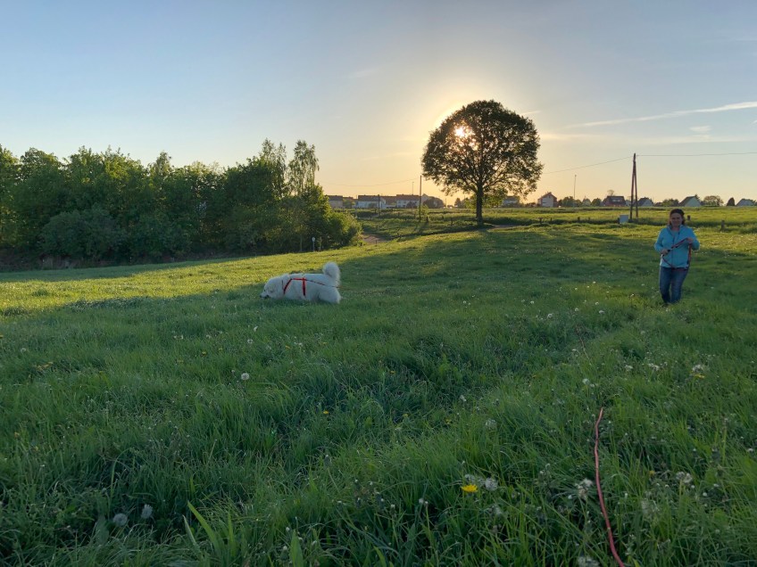 Es geht auf die große Feldwiese