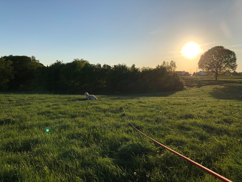 Sonnenuntergang