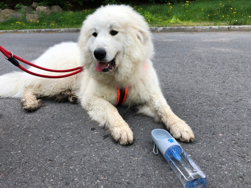 Die Bella mit ihrer neuen Wandertrinkflasche