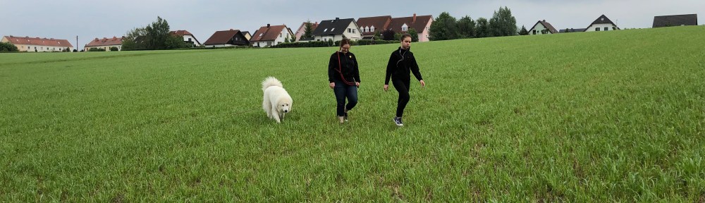 Mit meinen Menschenschwestern auf dem Feld