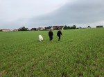 Mit meinen Menschenschwestern auf dem Feld