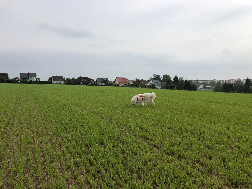 Nach Mäuselöchern schnuffeln