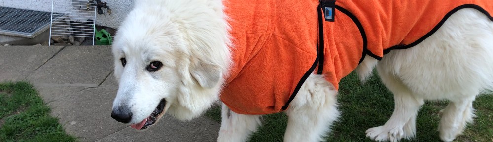 Meiner, bekommt ihr nicht!