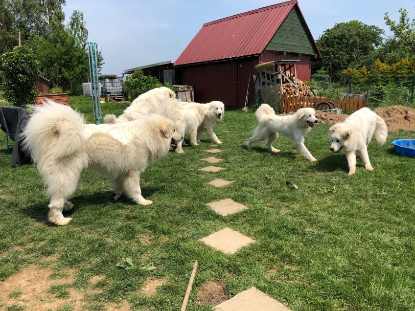 Noch sind nicht alle da