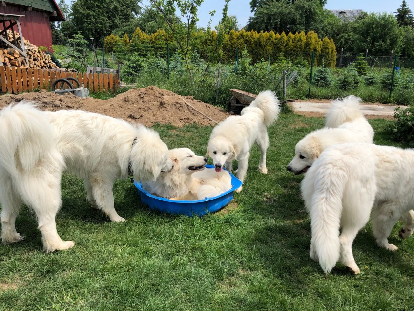 Die Kira lacht uns alle aus