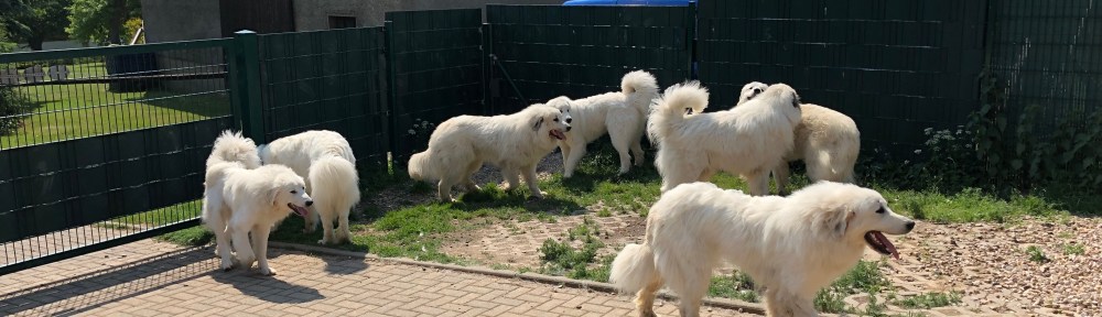 Wir sind die Pyris vom Ehrenberger Hof!